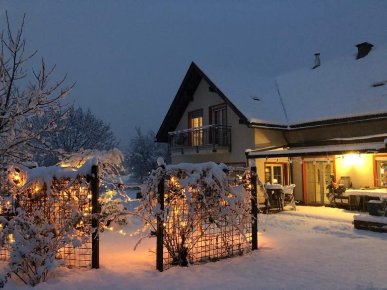 Gartenansicht im Winter